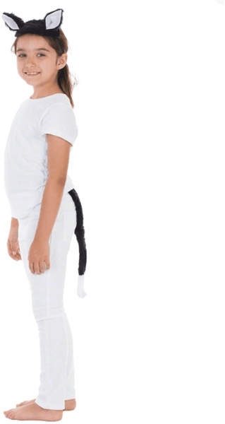 Cat Ears and Tail Set Childrens Costume